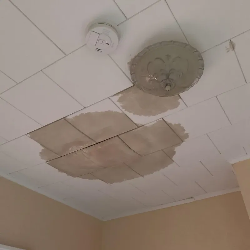 Ceiling Water Damage Repair in Johnsonburg, PA