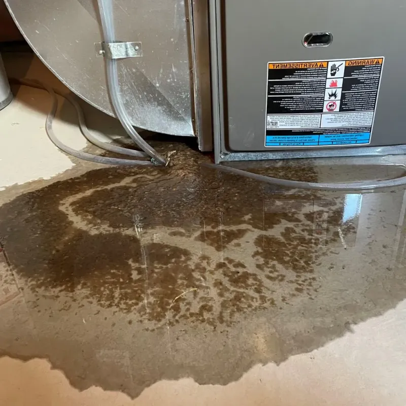 Pipe Burst and Leak Restoration in Johnsonburg, PA