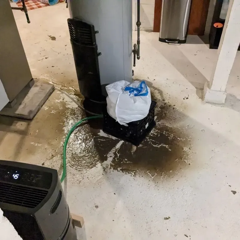 Sewage Backup Cleanup Service in Johnsonburg, PA